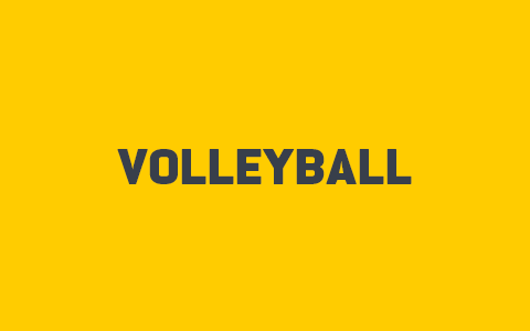 Volleyball